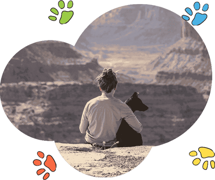 云呼轰炸机
